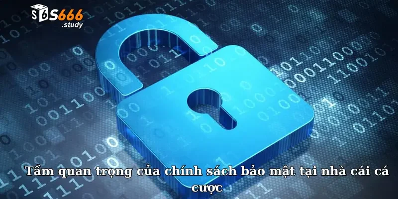 Tầm quan trọng của chính sách bảo mật tại nhà cái cá cược