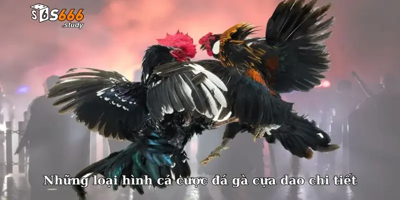 Những loại hình cá cược đá gà cựa dao chi tiết