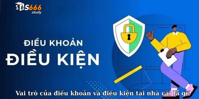 Vai trò của điều khoản và điều kiện tại nhà cái là gì?