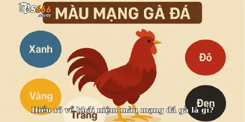 Hiểu rõ về khái niệm màu mạng đá gà là gì?