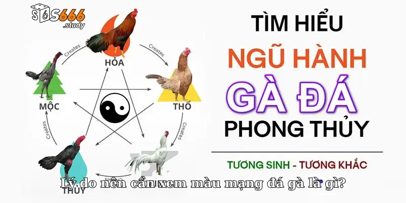 Lý do nên cần xem màu mạng đá gà là gì?