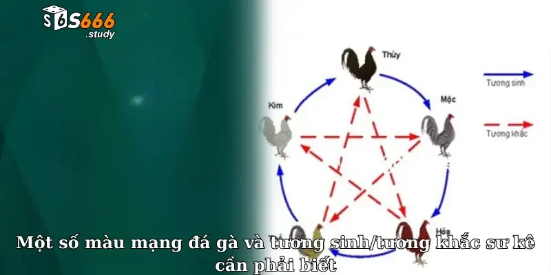 Một số màu mạng đá gà và tương sinh/tương khắc sư kê cần phải biết