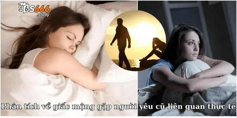 Phân tích về giấc mộng gặp người yêu cũ liên quan thực tế
