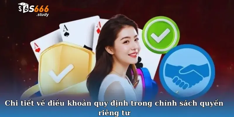 Chi tiết về điều khoản quy định trong chính sách quyền riêng tư
