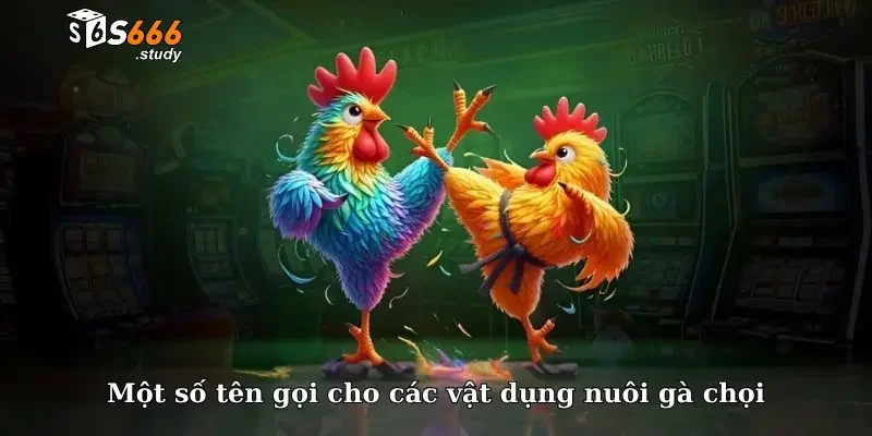 Một số tên gọi cho các vật dụng nuôi gà chọi