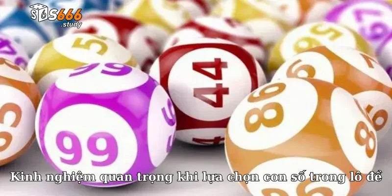 Kinh nghiệm quan trọng khi lựa chọn con số trong lô đề
